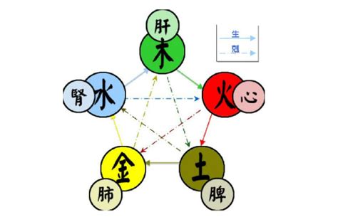 五行 木火|五行（对万事万物的取象比类）